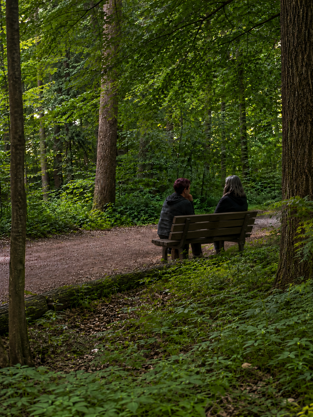 Gespräch auf einer Bank im Wald
