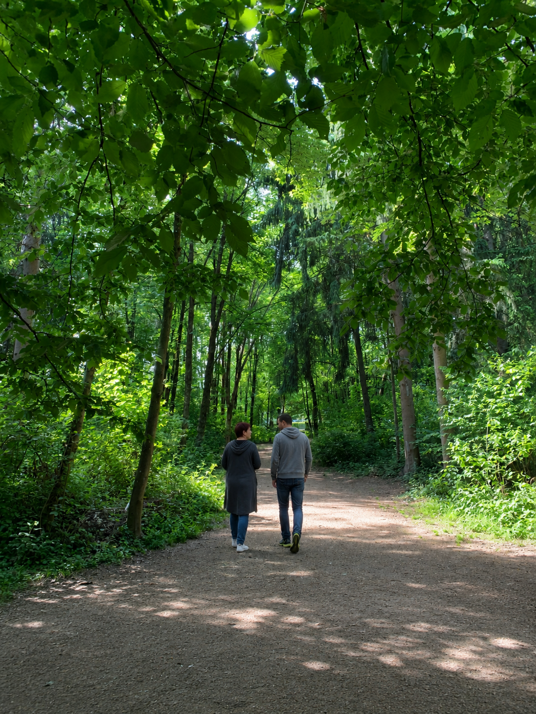 Gemeinsamer Spaziergang im Wald